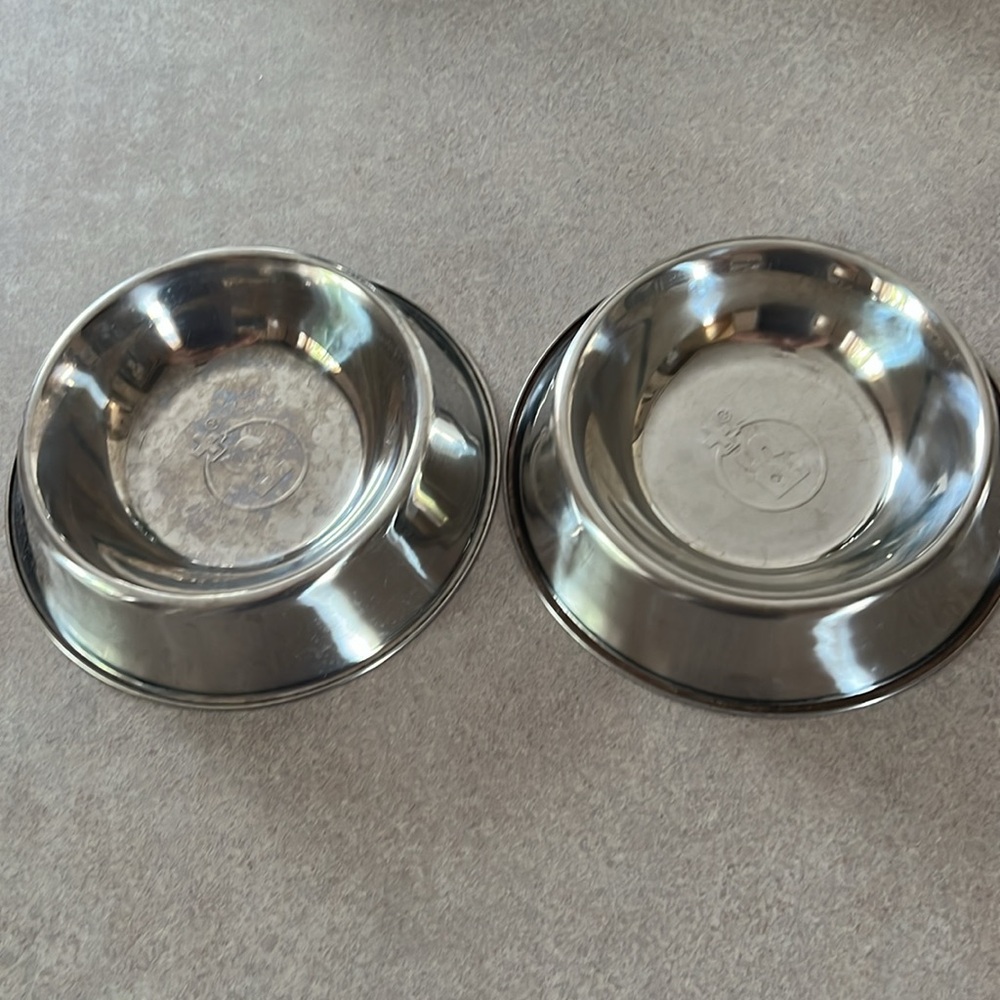 PS+ Dog plate
